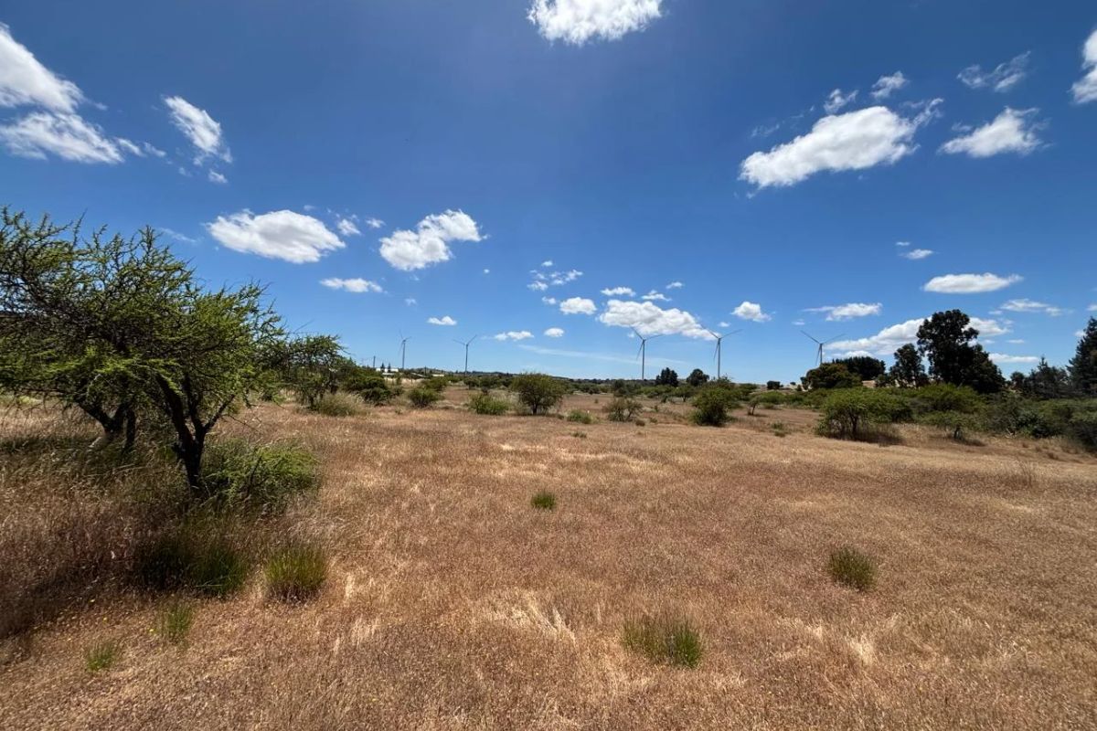 PARCELA – 2,17 HECTÁREAS – SECTOR MANANTIALES, LITUECHE