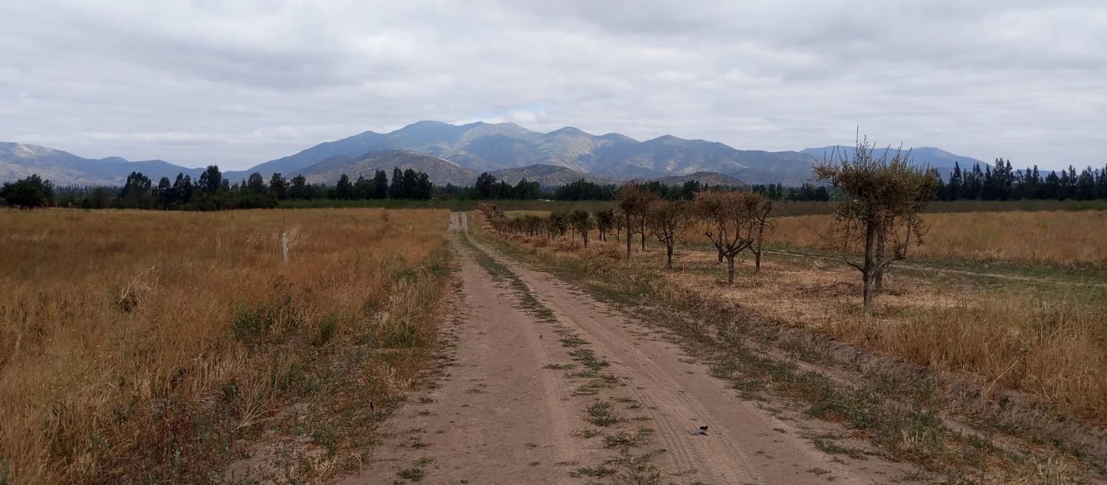 TERRAZAS DE BOLLENAR - imagen 6