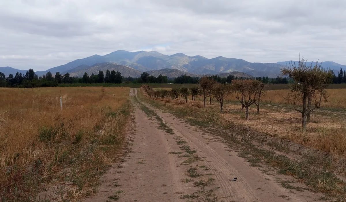 TERRAZAS DE BOLLENAR - imagen 6