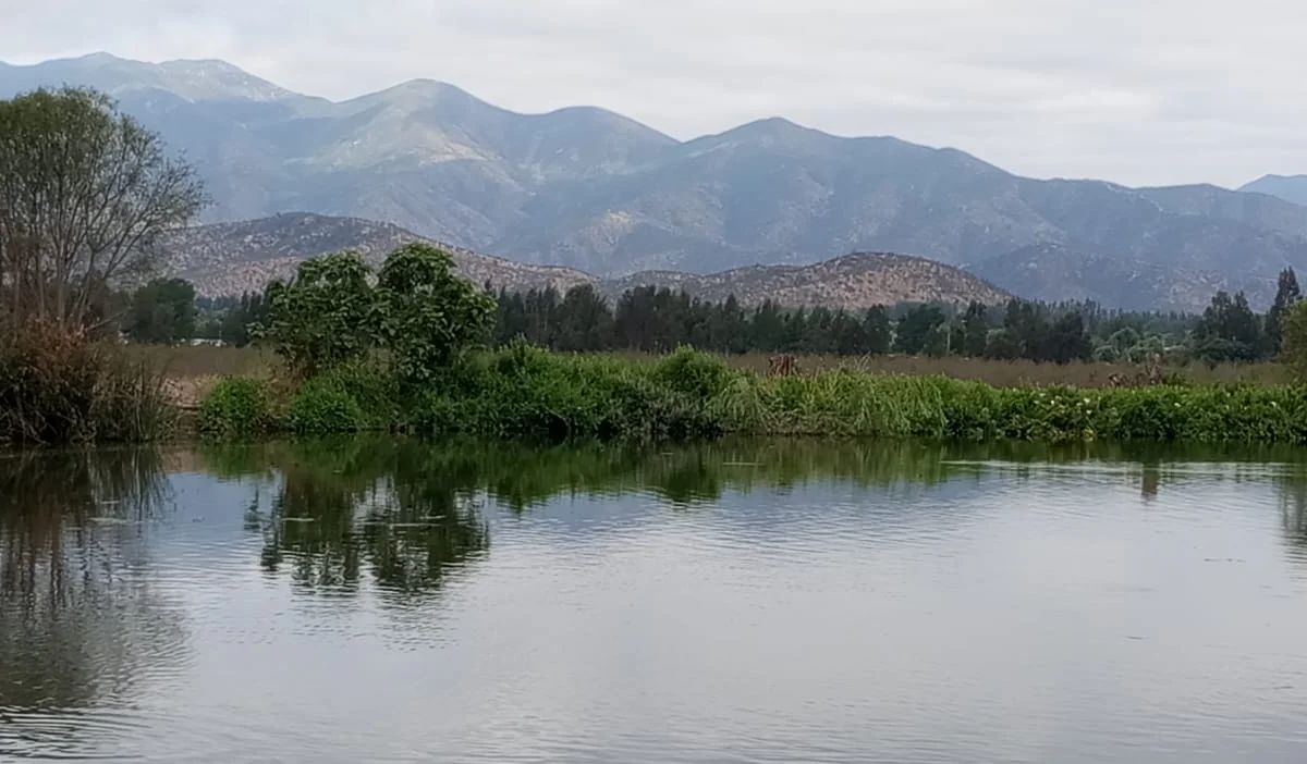 TERRAZAS DE BOLLENAR - imagen 10