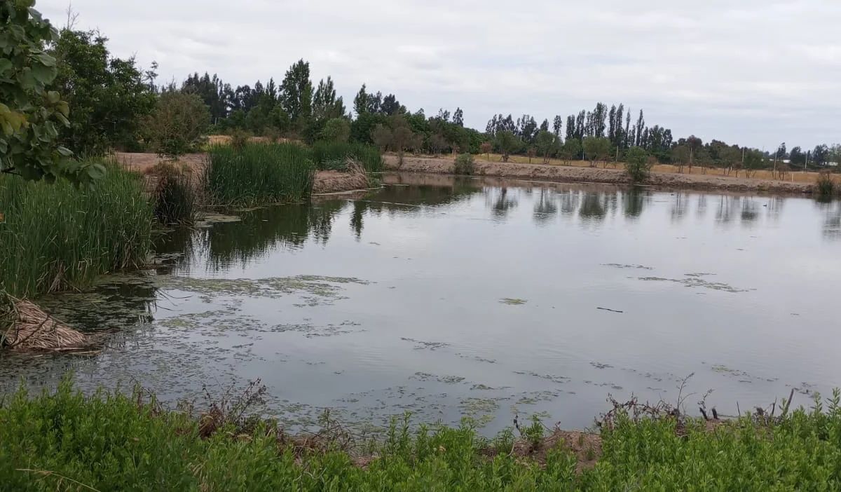 TERRAZAS DE BOLLENAR - imagen 7