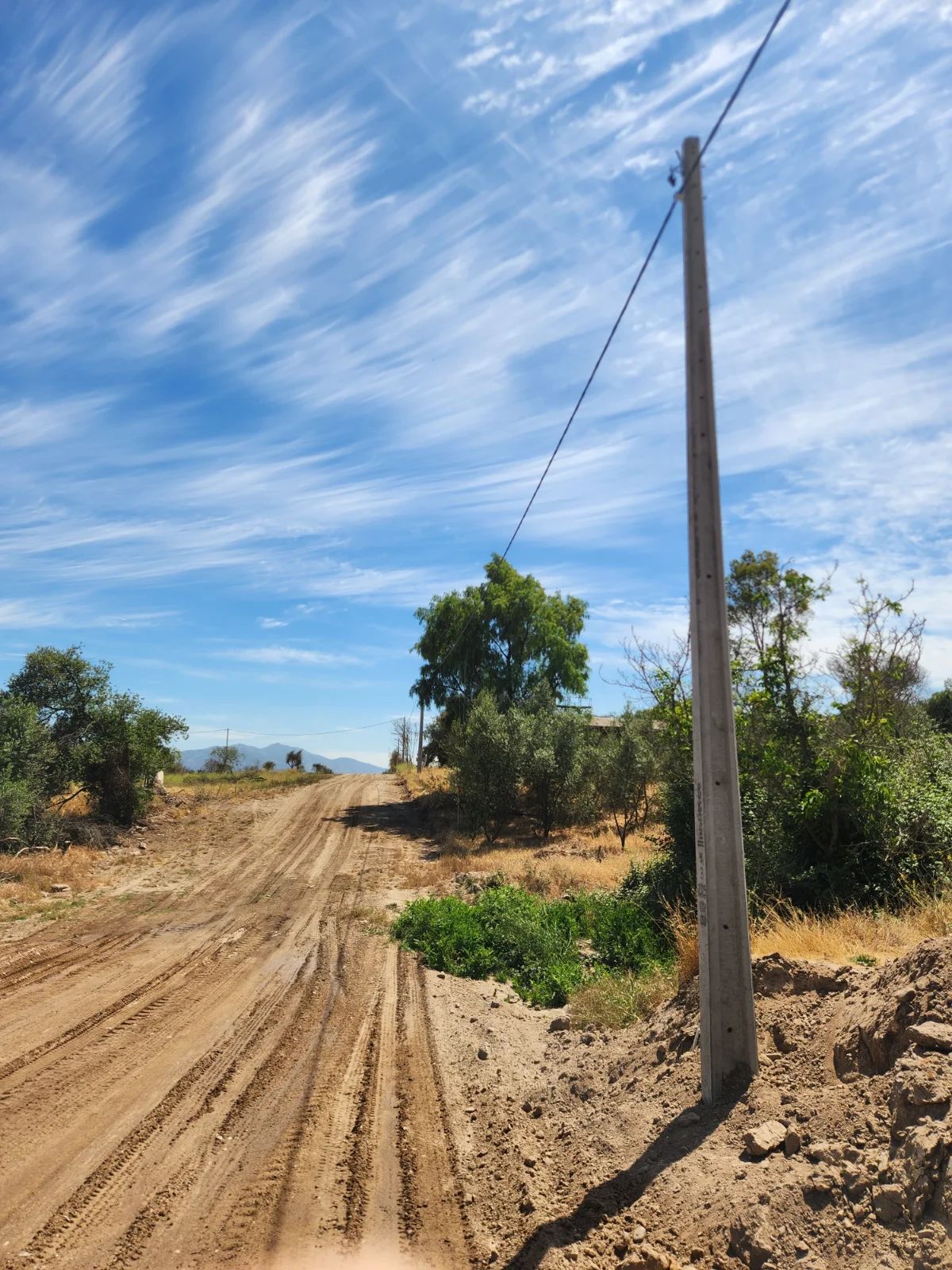 TERRAZAS DE BOLLENAR - imagen 4
