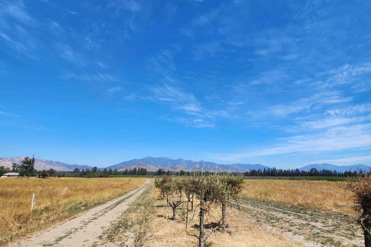 TERRAZAS DE BOLLENAR - imagen 2