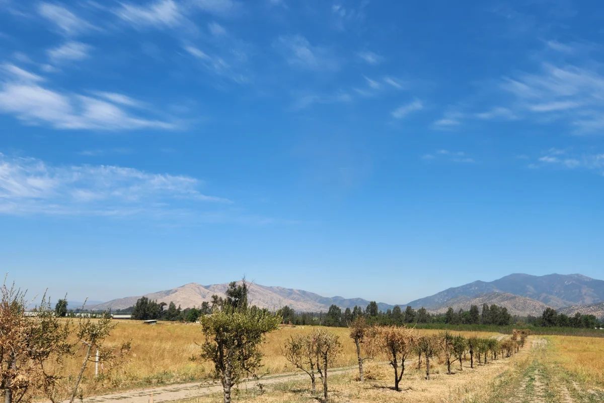 TERRAZAS DE BOLLENAR - imagen 3