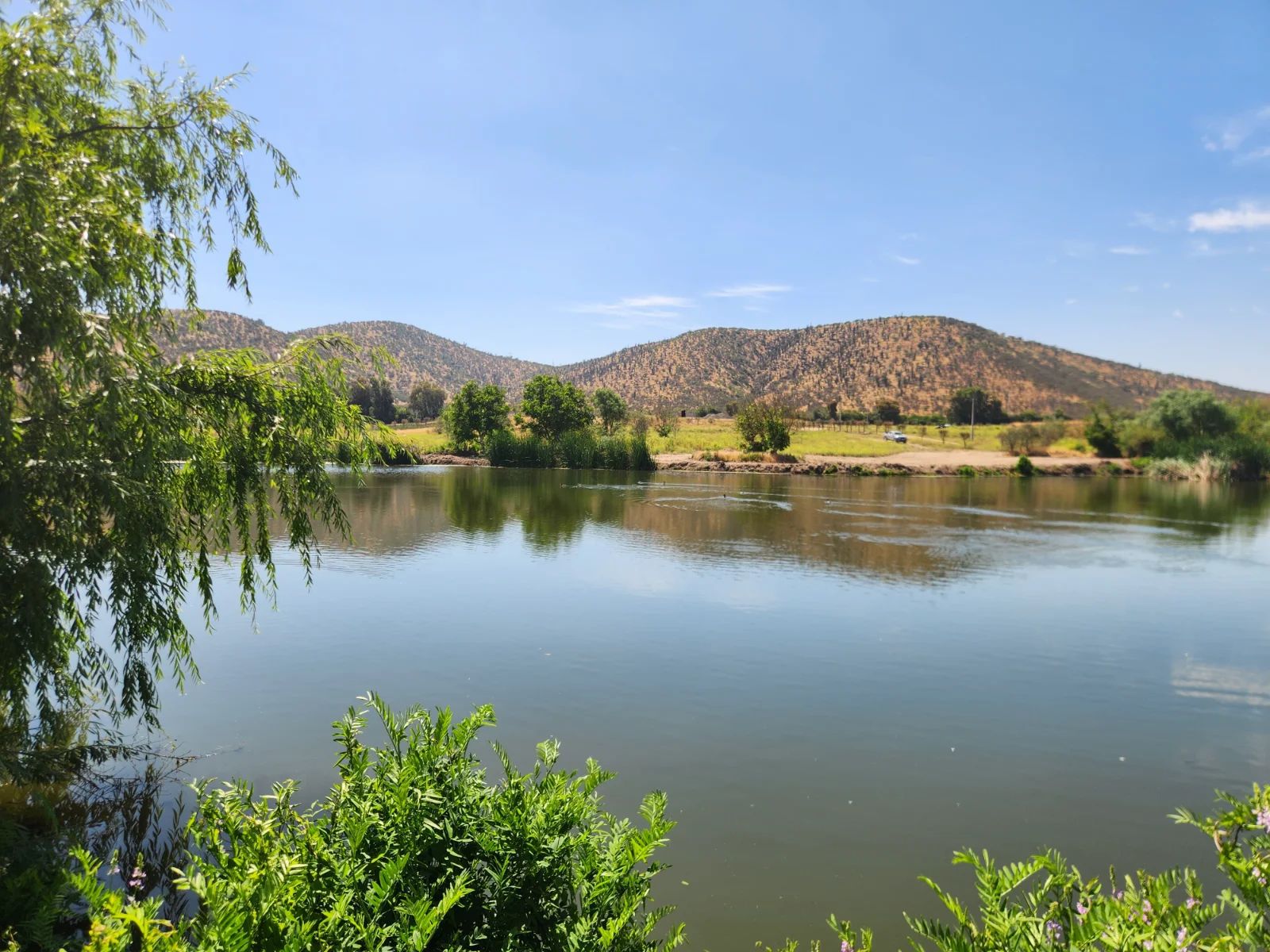 TERRAZAS DE BOLLENAR - imagen 9