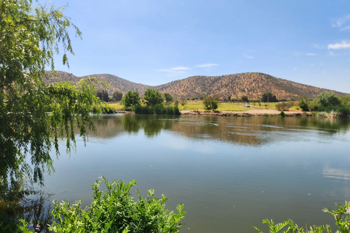 TERRAZAS DE BOLLENAR - imagen 9