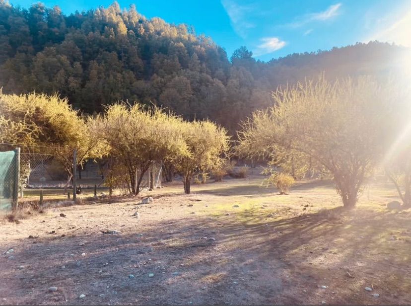 TERRENO 5.000 M² EN PEJERREY, LINARES  — foto 2