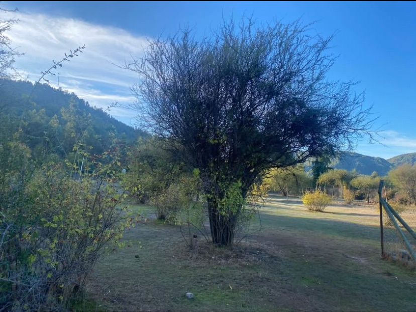 TERRENO 5.000 M² EN PEJERREY, LINARES  — foto 3
