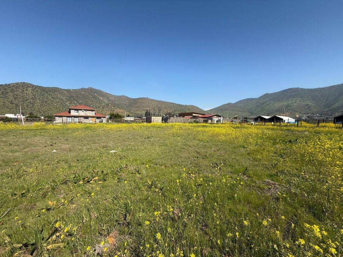 Parcela 5.000 m2 — foto 6