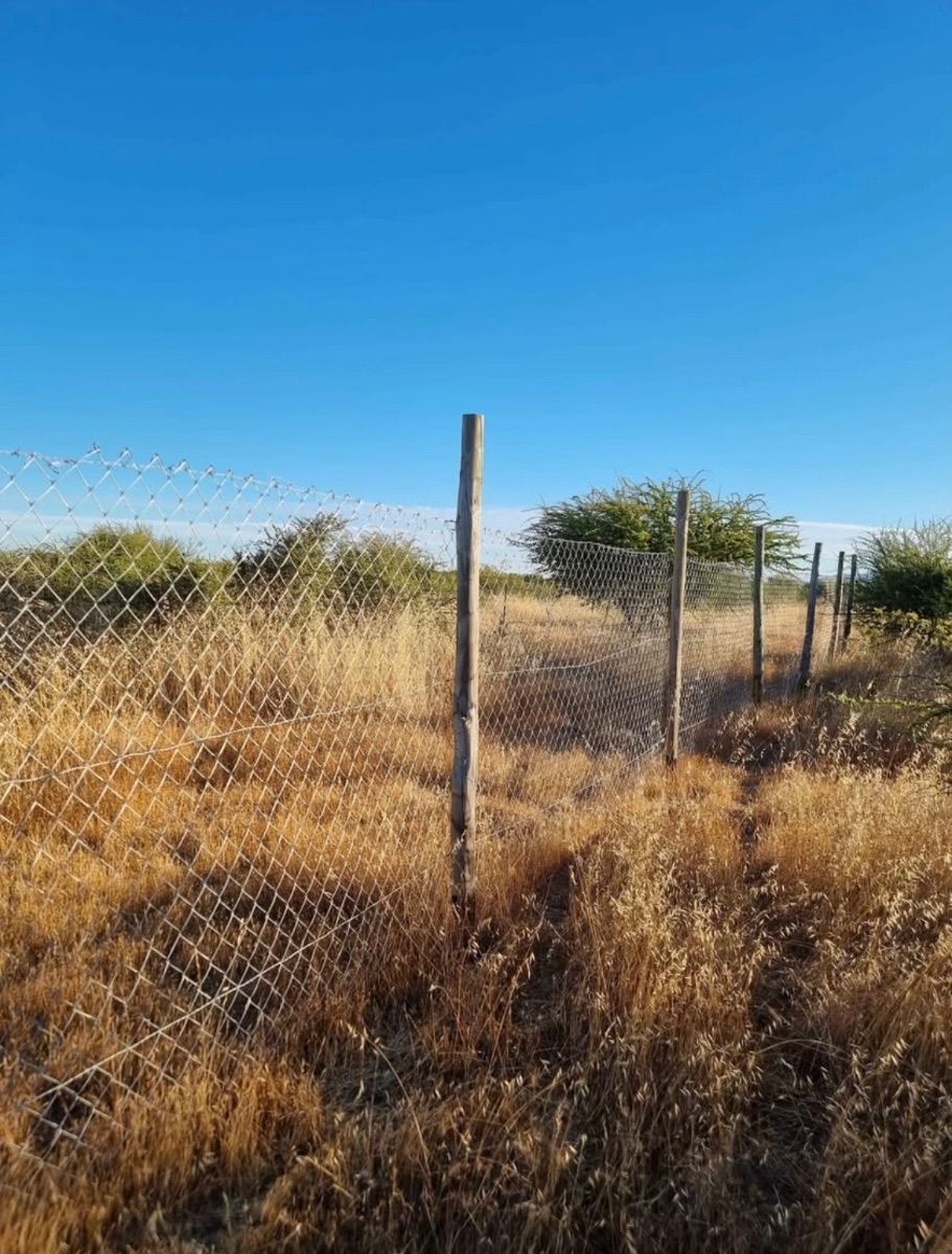Parcela 5.135 m² en Cauquenes, Quella Norte – Lote 15 — foto 4