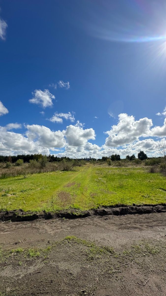 Parcelas de 5.000 m2. Comuna de Cabrero — foto 4