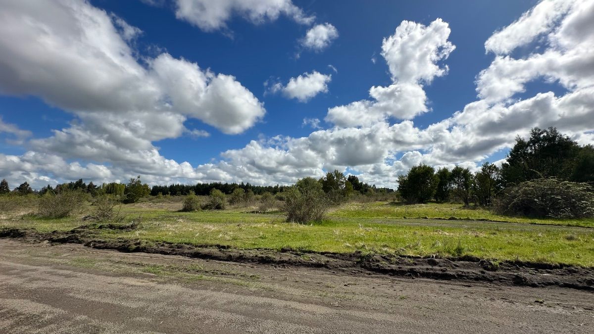Parcelas de 5.000 m2. Comuna de Cabrero — foto 5
