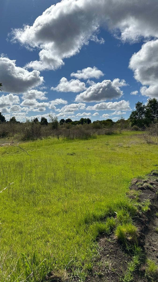 Parcelas de 5.000 m2. Comuna de Cabrero — foto 3