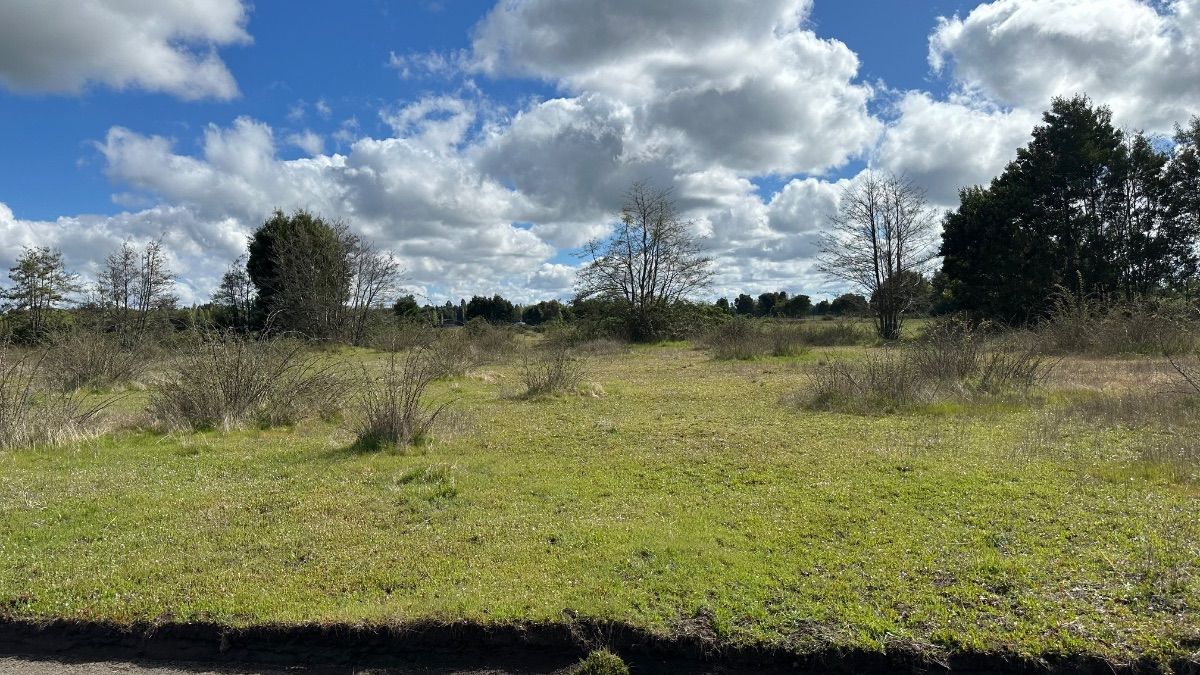 Parcelas de 5.000 m2. Comuna de Cabrero — foto 7